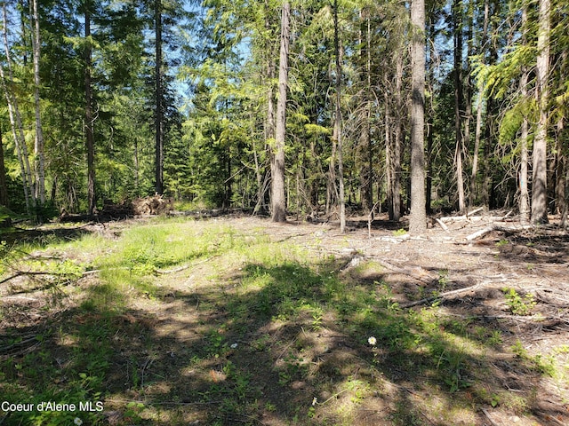 1007 Ruby Creek Rd, Naples, ID 83847 - view of wooded area
