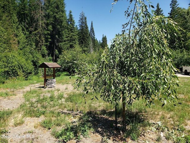 1007 Ruby Creek Rd, Naples, ID 83847 - view of local wilderness