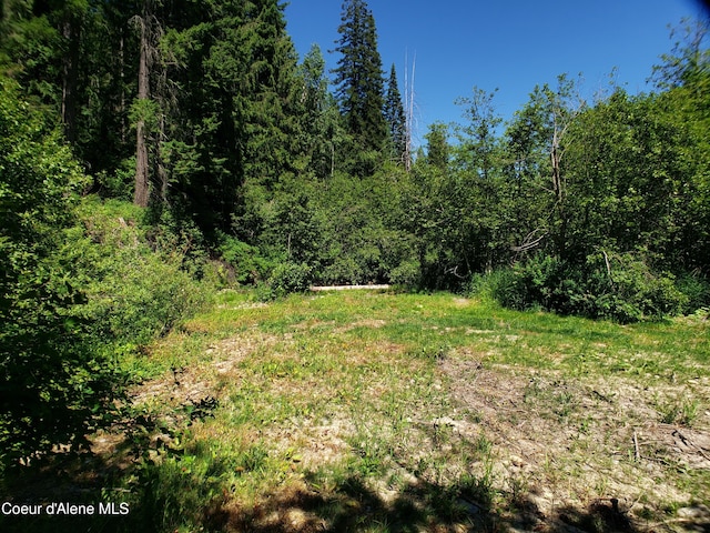 1007 Ruby Creek Rd, Naples, ID 83847 - view of woods