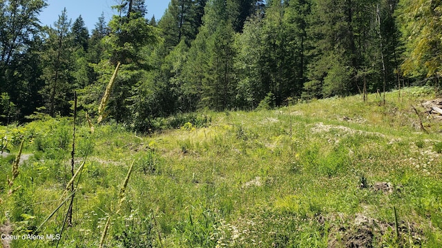 1007 Ruby Creek Rd, Naples, ID 83847 - view of tree filled area