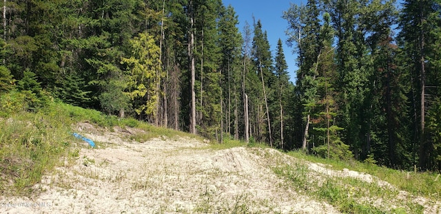 1007 Ruby Creek Rd, Naples, ID 83847 - view of tree filled area