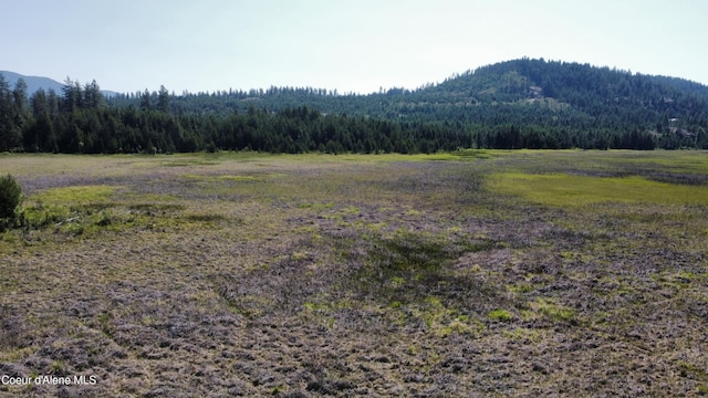 NNA Bandy Rd, Priest River, ID 83856