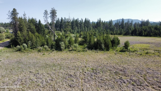 NNA Bandy Rd, Priest River, ID 83856