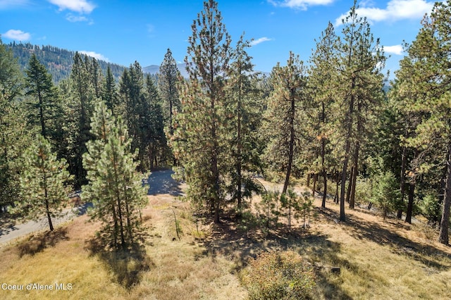 NKA S Saddleback Dr, Coeur Dalene, ID 83814
