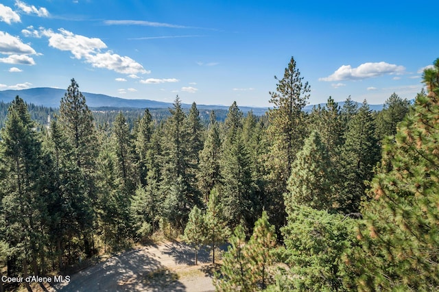 NKA S Saddleback Dr, Coeur Dalene, ID 83814