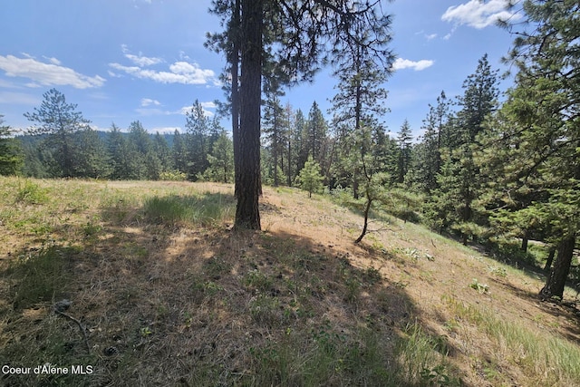 NKA S Saddleback Dr, Coeur Dalene, ID 83814