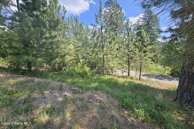 NKA S Saddleback Dr, Coeur Dalene, ID 83814