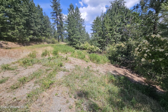 NKA S Saddleback Dr, Coeur Dalene, ID 83814