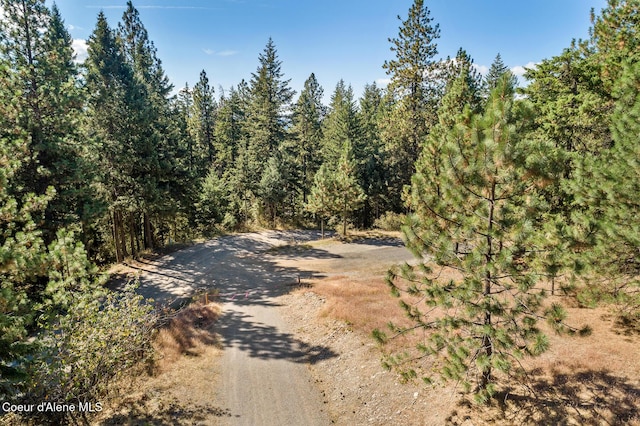 NKA S Saddleback Dr, Coeur Dalene, ID 83814