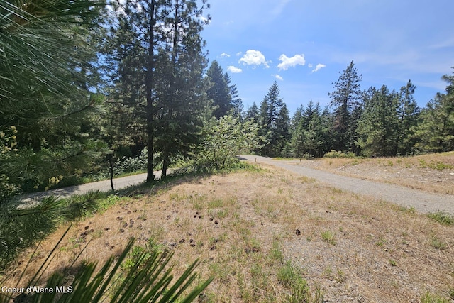 NKA S Saddleback Dr, Coeur Dalene, ID 83814