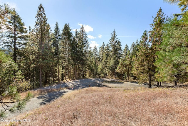 NKA S Saddleback Dr, Coeur Dalene, ID 83814