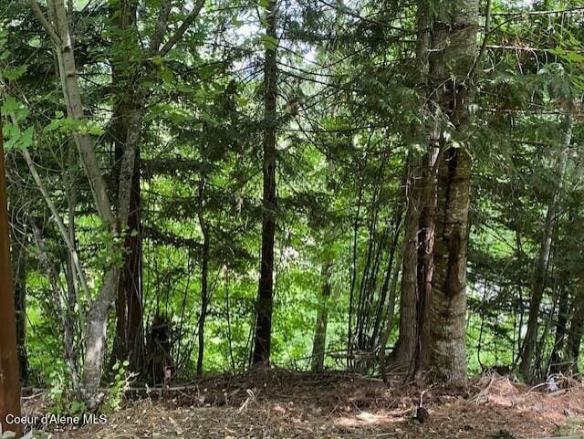 4310 Burns Ct, Sandpoint, ID 83864 - view of tree filled area