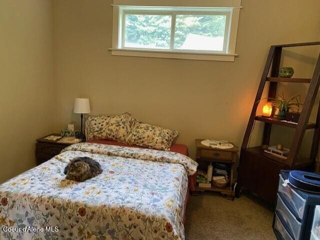 4310 Burns Ct, Sandpoint, ID 83864 - bedroom featuring carpet flooring