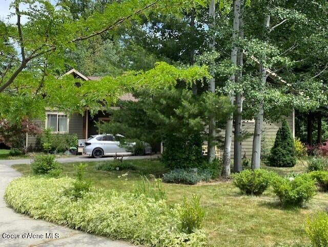 4310 Burns Ct, Sandpoint, ID 83864 - view of yard
