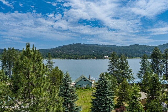 170 Flatwater Ln, Sandpoint, ID 83864 - photo 52