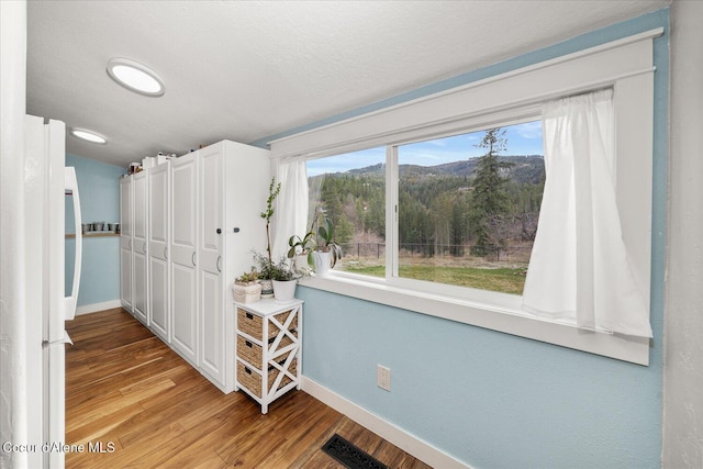 3772 S Schilling Loop, Post Falls, ID 83854 - spare room with wood finished floors and a mountain view