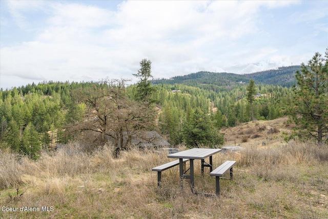 3772 S Schilling Loop, Post Falls, ID 83854 - mountain view with a forest