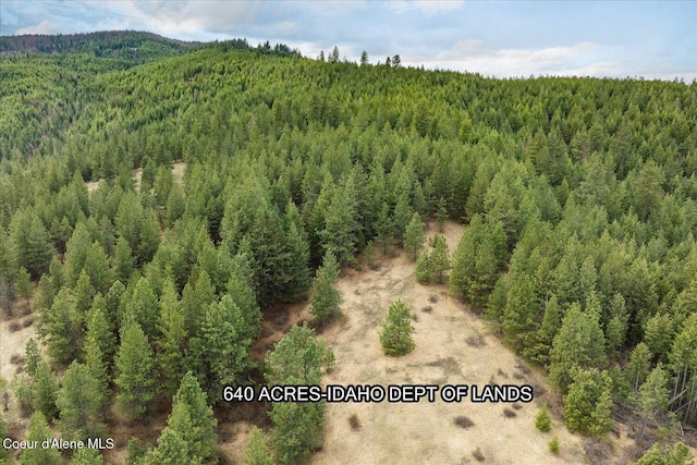 3772 S Schilling Loop, Post Falls, ID 83854 - drone / aerial view of a forest