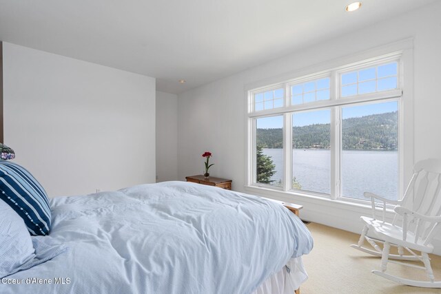 4557 W Mica Shore Rd, Coeur Dalene, ID 83814 - photo 32