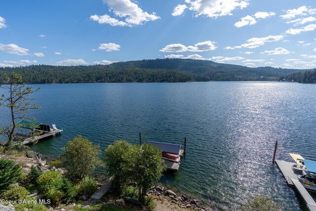 4557 W Mica Shore Rd, Coeur Dalene, ID 83814 - photo 57