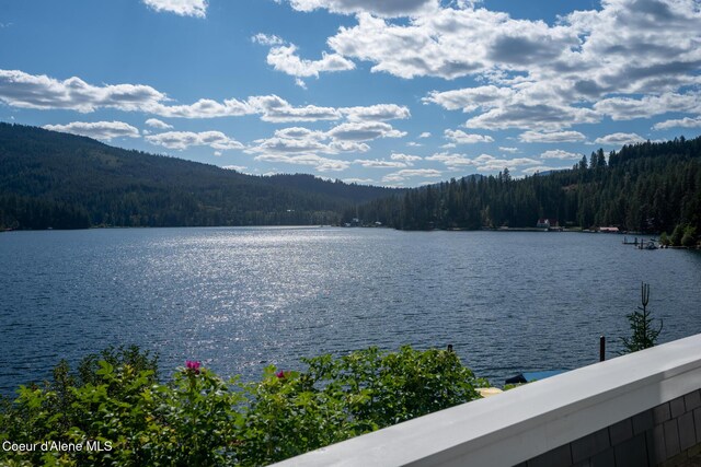 4557 W Mica Shore Rd, Coeur Dalene, ID 83814 - photo 64