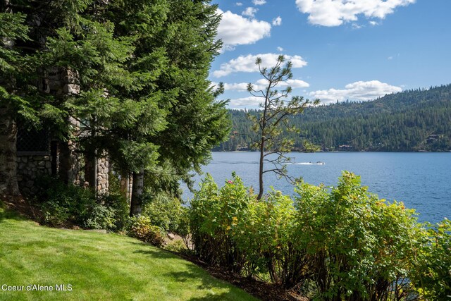 4557 W Mica Shore Rd, Coeur Dalene, ID 83814 - photo 66