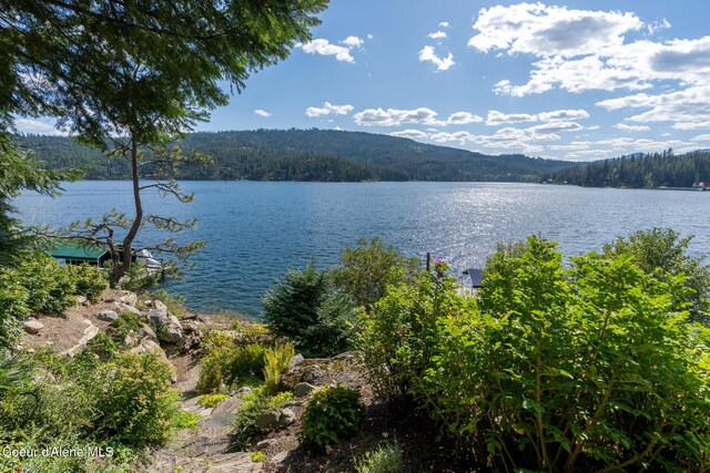 4557 W Mica Shore Rd, Coeur Dalene, ID 83814 - photo 67