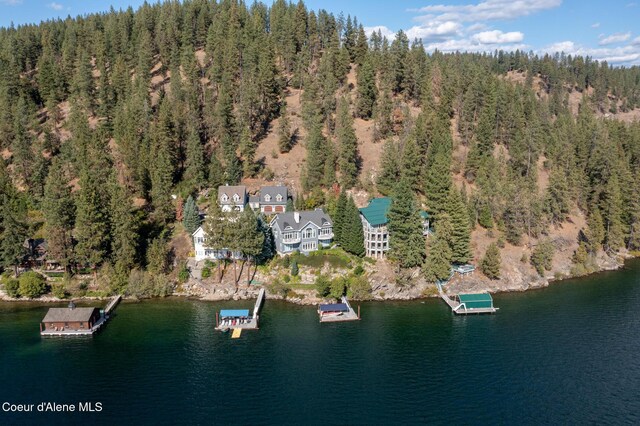 4557 W Mica Shore Rd, Coeur Dalene, ID 83814 - photo 73