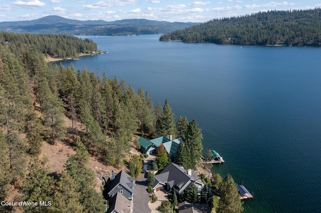 4557 W Mica Shore Rd, Coeur Dalene, ID 83814 - photo 75