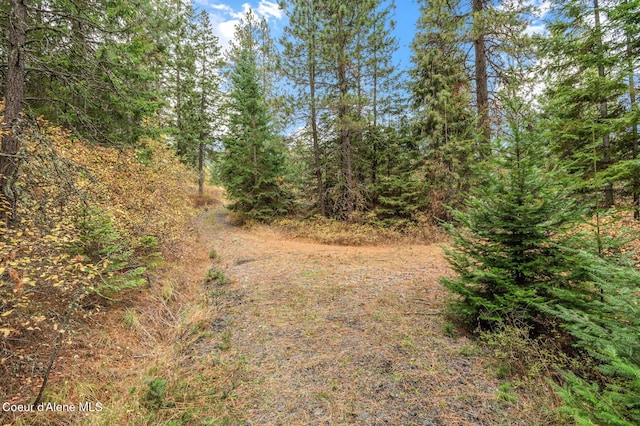 NKA W Clemetson Rd, Coeur Dalene, ID 83814