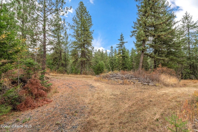 NKA W Clemetson Rd, Coeur Dalene, ID 83814