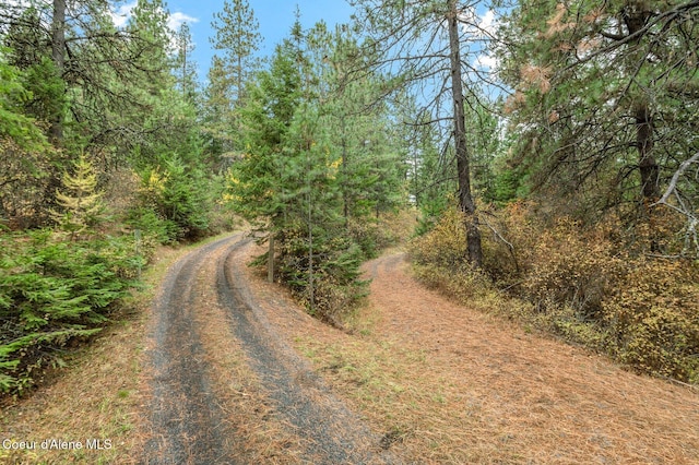 NKA W Clemetson Rd, Coeur Dalene, ID 83814