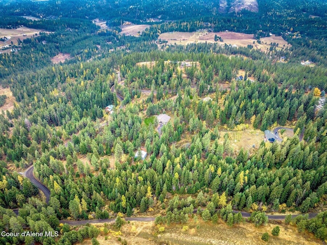 NKA W Clemetson Rd, Coeur Dalene, ID 83814