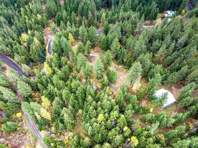 NKA W Clemetson Rd, Coeur Dalene, ID 83814