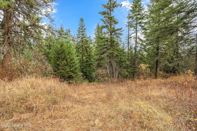 NKA W Clemetson Rd, Coeur Dalene, ID 83814
