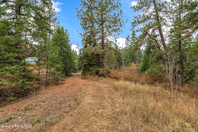 NKA W Clemetson Rd, Coeur Dalene, ID 83814