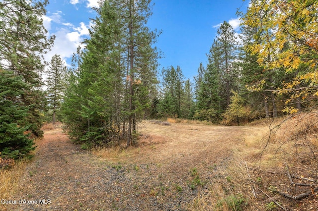 NKA W Clemetson Rd, Coeur Dalene, ID 83814