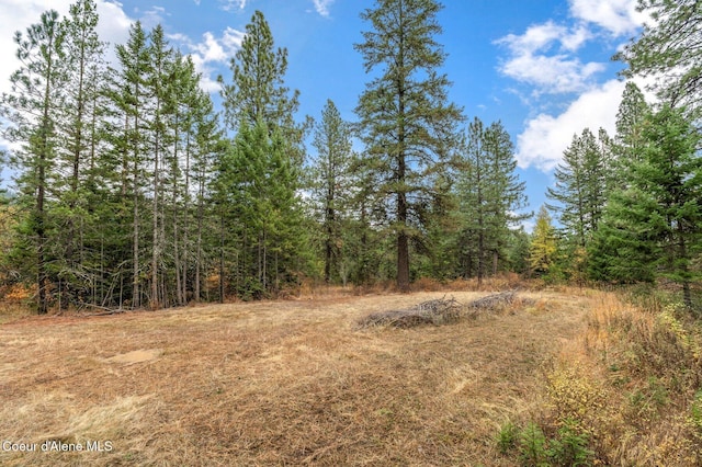 NKA W Clemetson Rd, Coeur Dalene, ID 83814