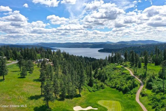 L193 S Basalt Dr, Coeur Dalene, ID 83814