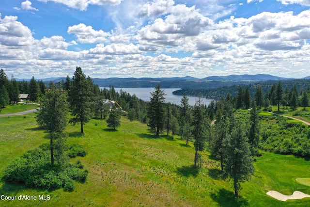 L193 S Basalt Dr, Coeur Dalene, ID 83814
