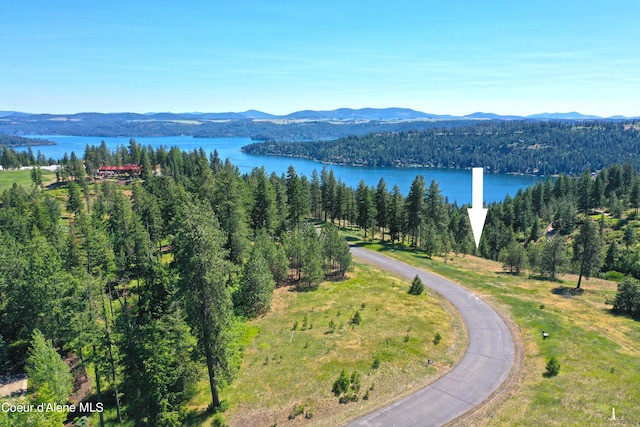 L193 S Basalt Dr, Coeur Dalene, ID 83814