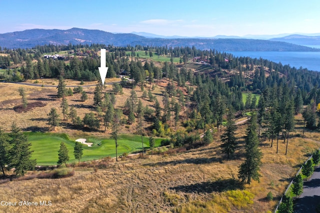 L193 S Basalt Dr, Coeur Dalene, ID 83814