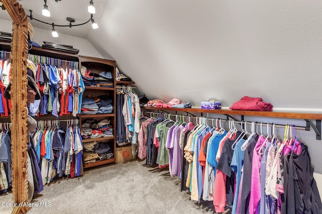 1529 S Saddleback Dr, Coeur Dalene, ID 83814 - walk in closet featuring vaulted ceiling and carpet