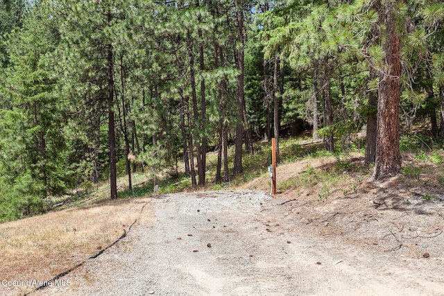 1529 S Saddleback Dr, Coeur Dalene, ID 83814 - view of road