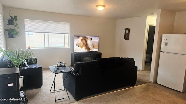 1801 Culvers Dr Unit 3, Sandpoint, ID 83864 - photo 6