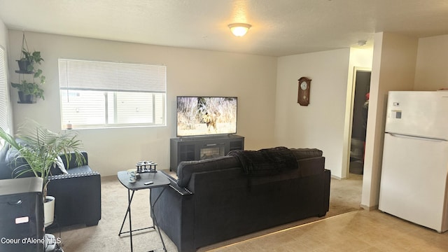 1801 Culvers Dr Unit 3, Sandpoint, ID 83864 - photo 14