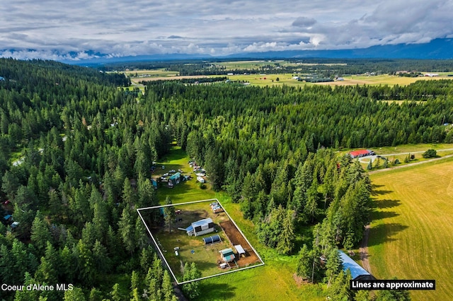 264 Rigby Rd, Bonners Ferry, ID 83805 - photo 2