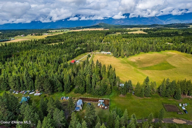 264 Rigby Rd, Bonners Ferry, ID 83805 - photo 4