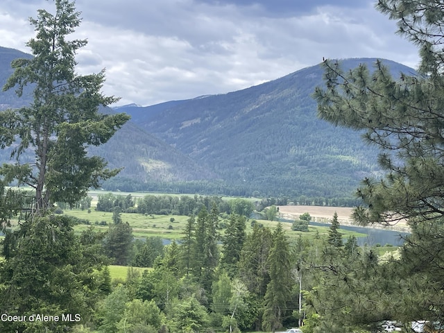 2447 Turner Hill Rd, Bonners Ferry, ID 83805 - photo 4