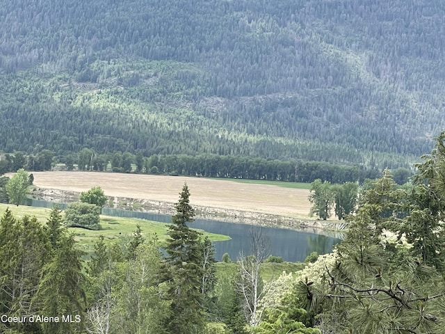 2447 Turner Hill Rd, Bonners Ferry, ID 83805 - photo 5